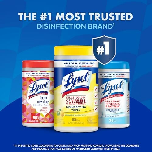 Lysol Disinfectant Wipes Bundle